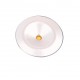 Miniature 1 Watt LED Downlight